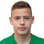 Vladyslav Krapyvtsov 